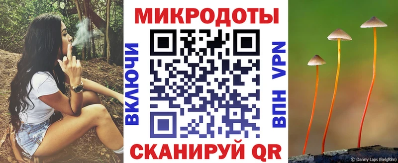 дарк нет официальный сайт  Горбатов  Псилоцибиновые грибы Magic Shrooms 